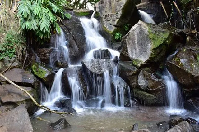 The Oloolua Nature Trail