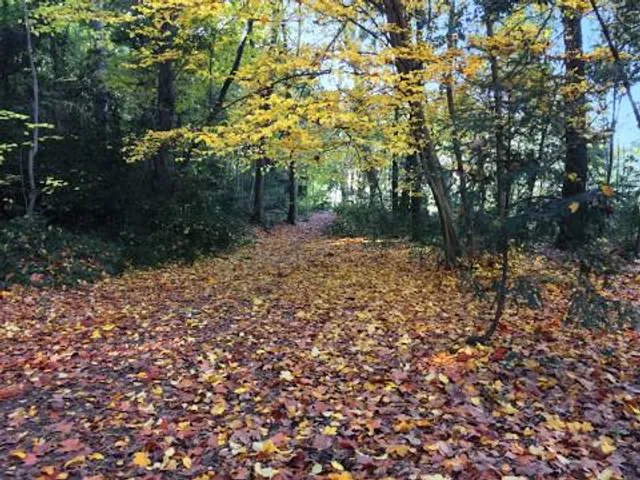 Parc du Domaine de Méric