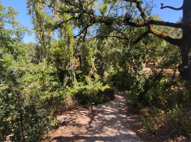 Sendero Galaroza - Castaño del Robledo (Ribera de Jabugo)