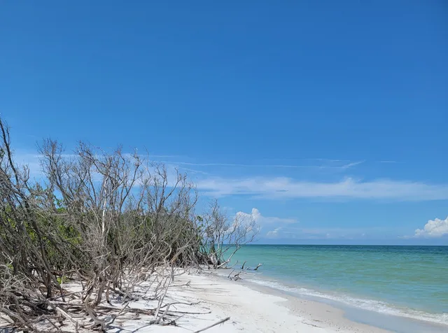 Caladesi Island State Park