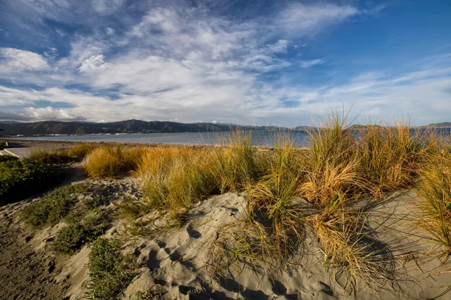 Petone Settlers Museum