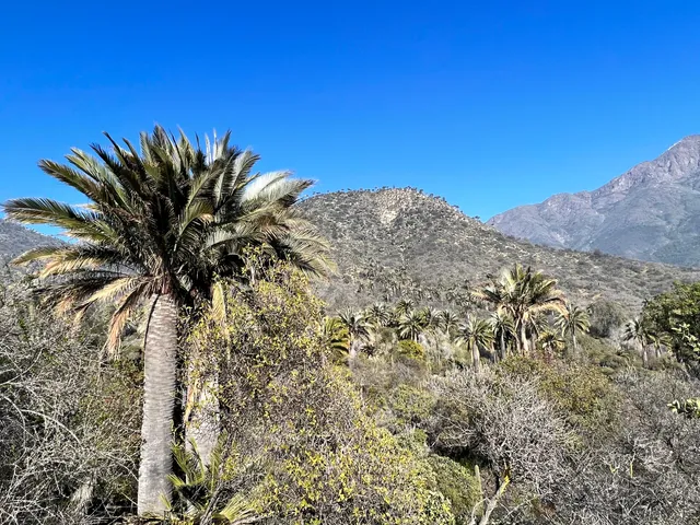 Provincia de Quillota