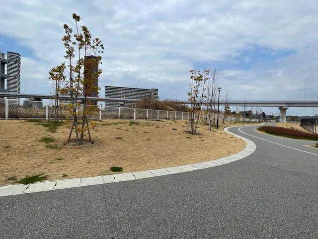 Kashiihama Central Park