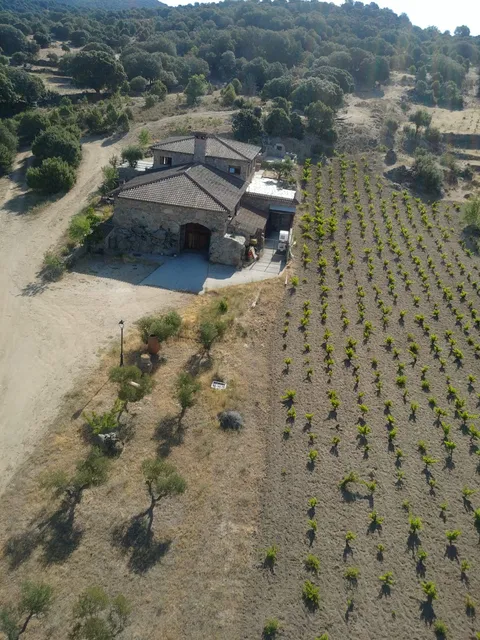 Bodega 7 Navas Garnacha Alto Alberche