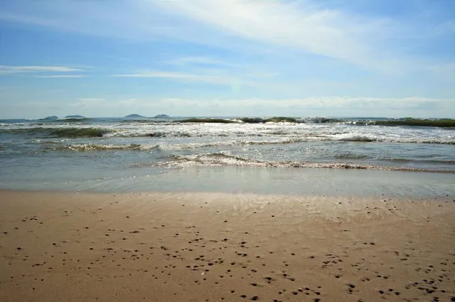 Praia do Ervino Oficial