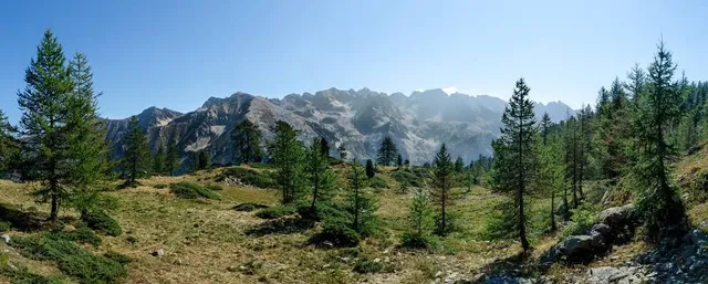 photo-1