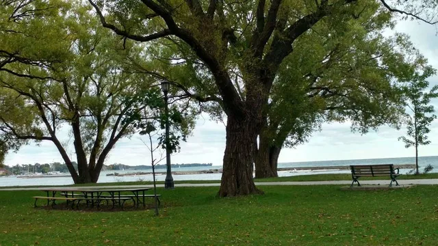 Lakeshore Boulevard Parklands