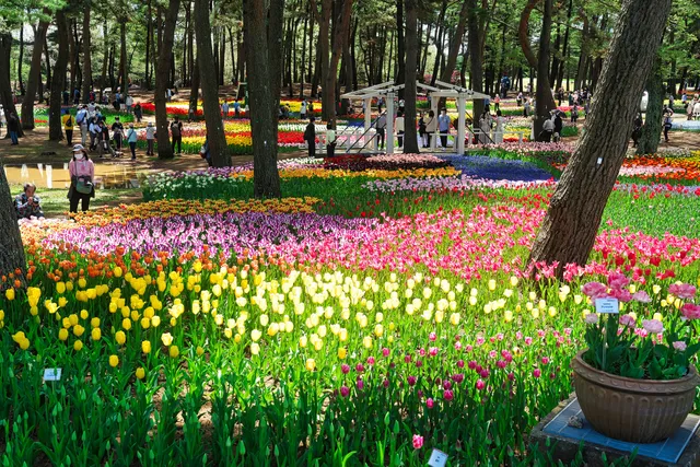 Eggs Forest Flower Garden