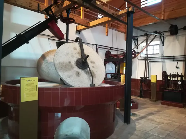 Museo del Olivar y del Aceite