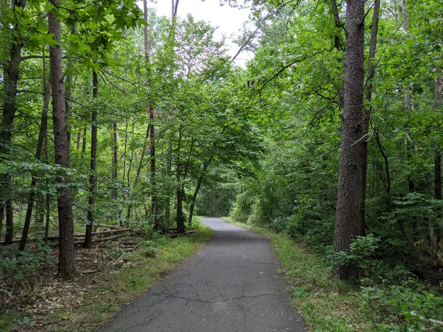 Cub Run Stream Valley Park