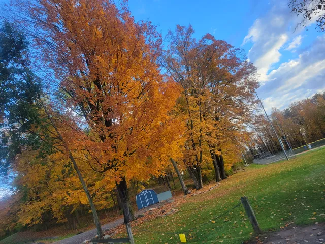 photo-1