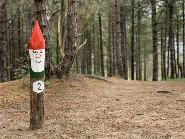 Kabouterpad Hollands Duin