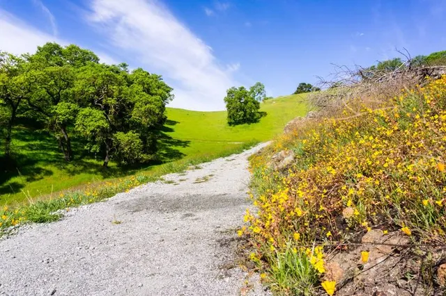 Calero County Park
