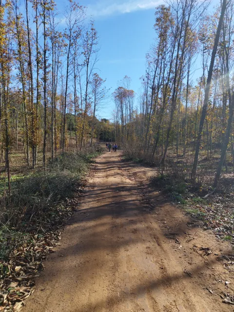 Sendero de los Castañares