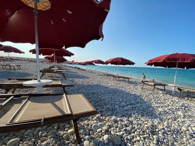 Yoki Beach Dog & Family