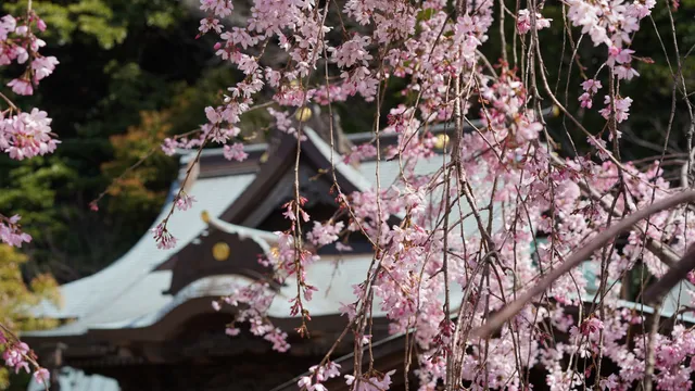 Negishi Hachiman Jinja