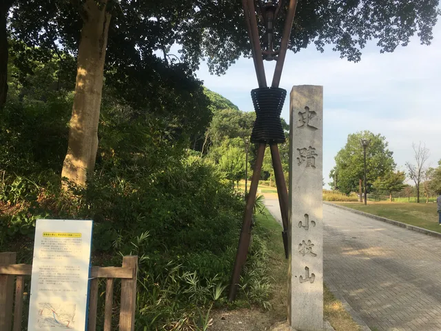 photo-1