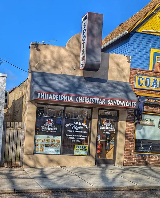 Mister Spots Ann Arbor