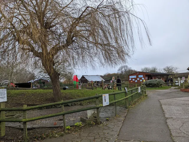 Gorse Hill City Farm