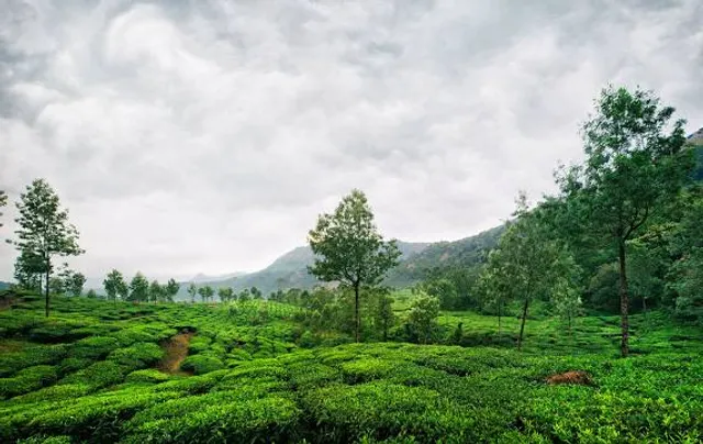 Seethargundu View Point