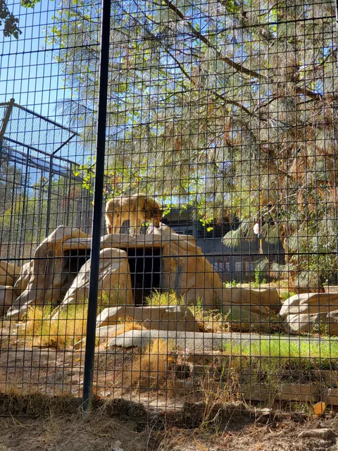Friends of the Folsom Zoo Sanctuary