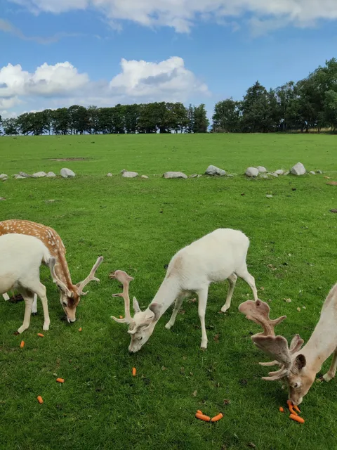 Orøstrand Dyrepark