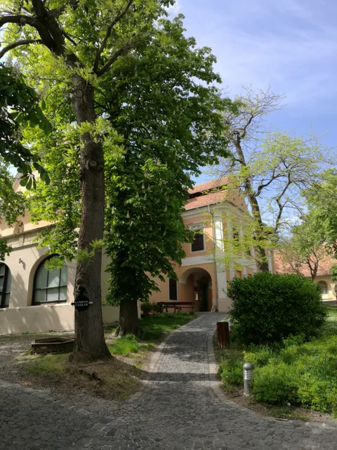 Ferenc Martyn Museum