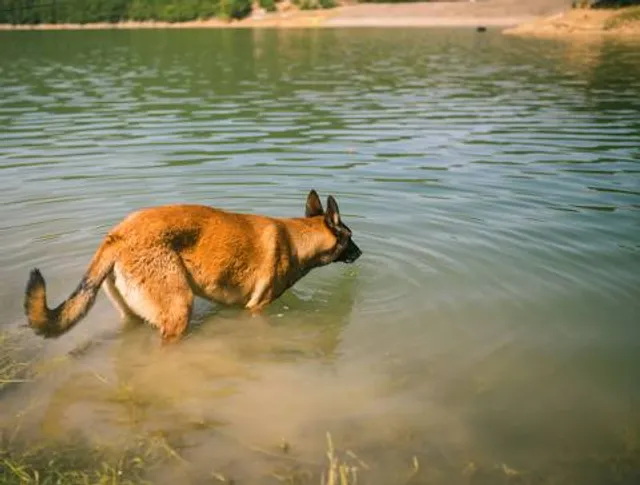 Elijah Clark State Park