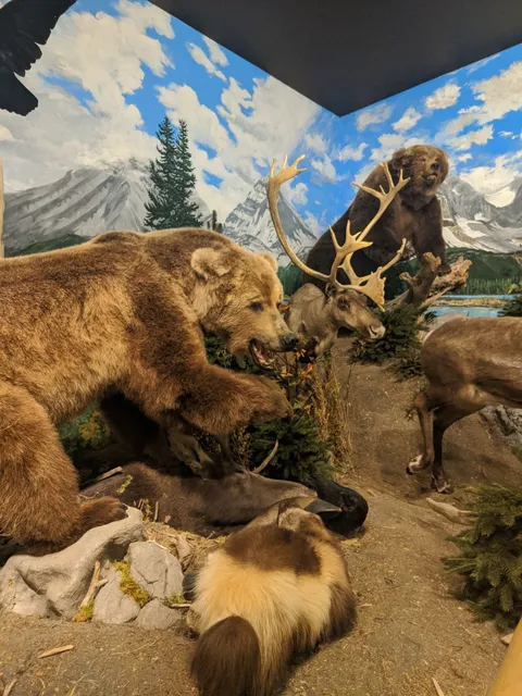 Sundre & District Museum