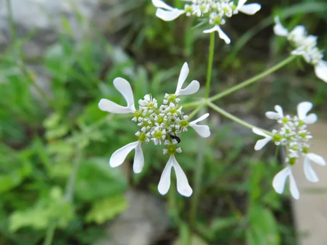 Biotopoi of Crete Nature Park