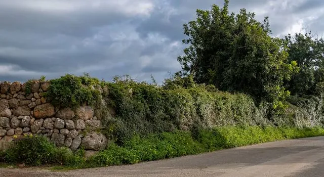 photo-2