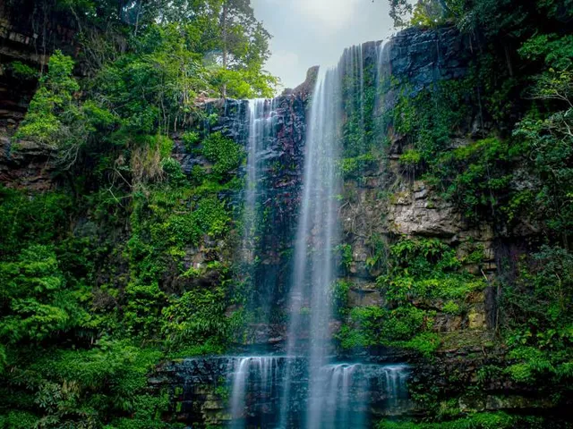 Giba Gorge Nature Reserve
