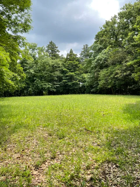 Shukuuchi Park (Dandelion Hill)