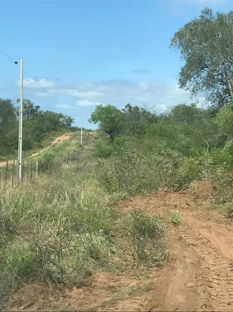 Médanos Del Chaco National Park