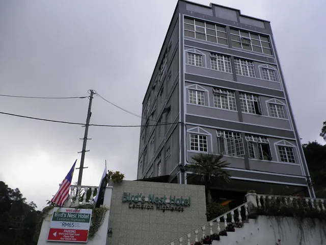 Bird's Nest Hotel