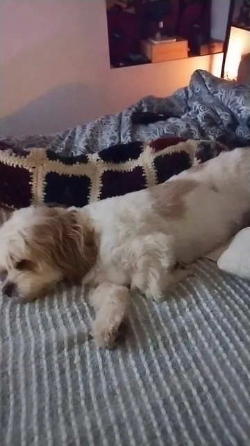 Harborlight Jewelers