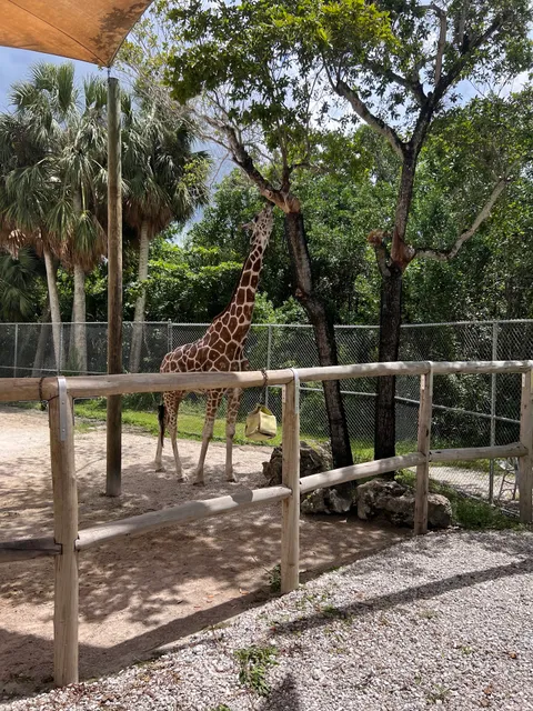 Naples Zoo Playground