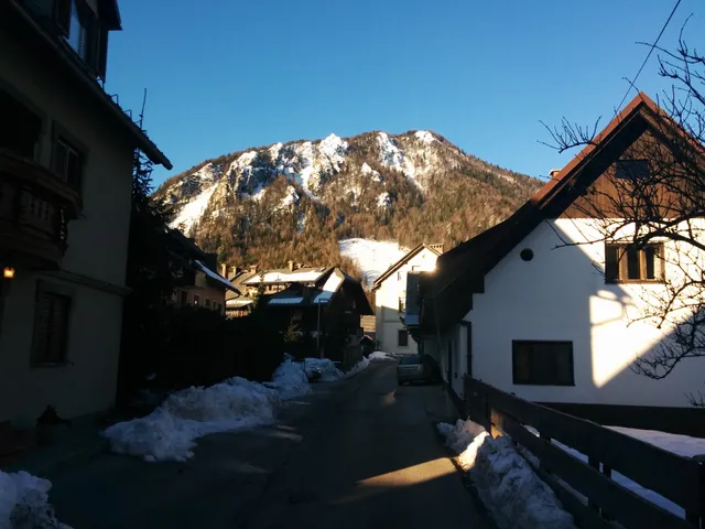 Albina Lavtižar - Sobodajalka