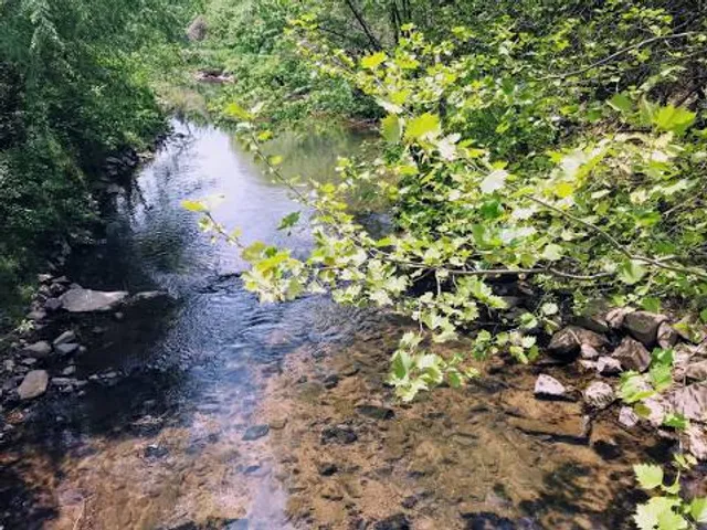 Little Sugar Creek Greenway