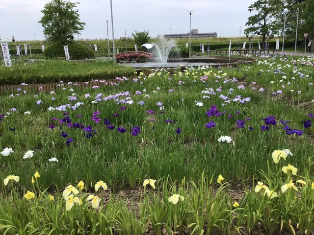 Aburagafuchi Iris Garden