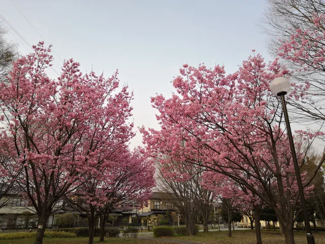 Imaizumi Central Park