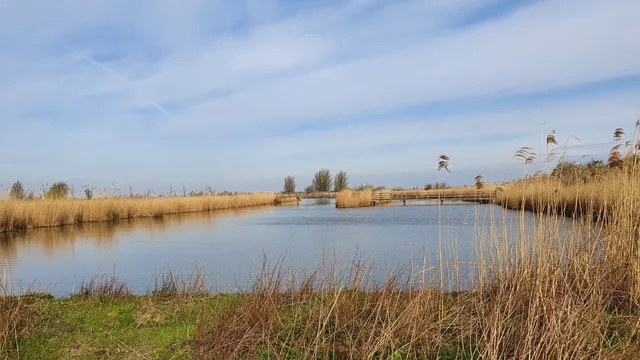 Vogelkijkscherm De Blauwborst