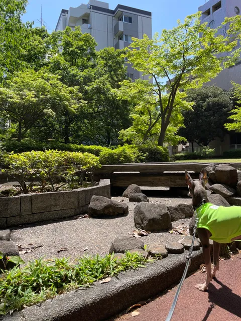 Chuo-ku Ward Sakuragawa Rooftop Park