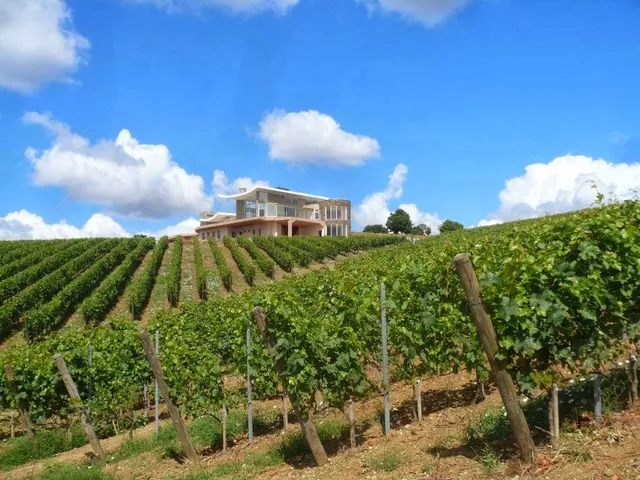 Chateau Kalpak Vineyards