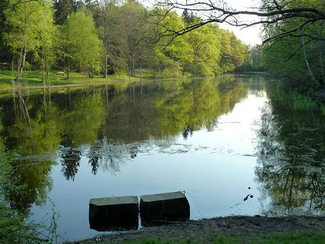 Warndtweiher