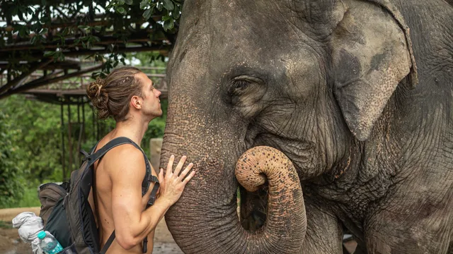 Samui Elephant Kingdom Sanctuary