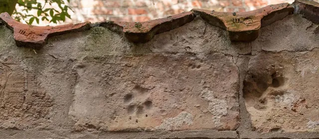 Gualchiera di Coiano