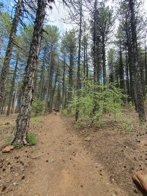 Atalanti Nature Trail (Loop)