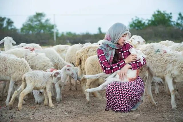 Sant Darshan Museum Hadshi
