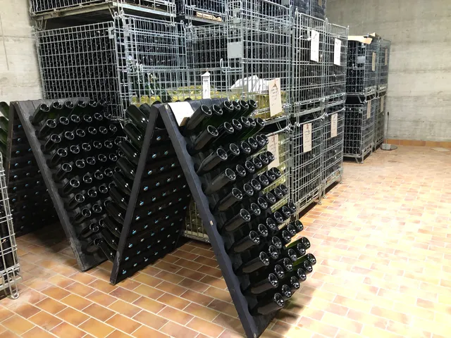 Azienda Vitivinicola ColleStefano di Fabio Marchionni